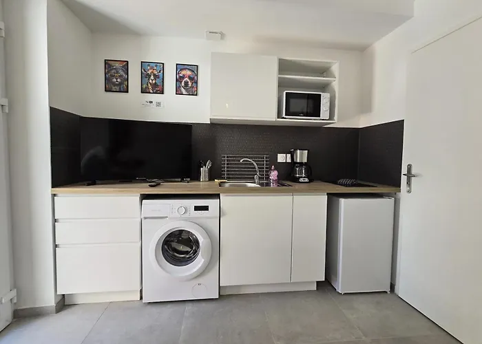 Gregbnb - 17m2 - Terrasse - Clim - Ouest - 5 *